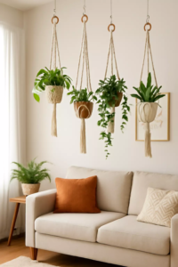 Plants for Macrame Hangers