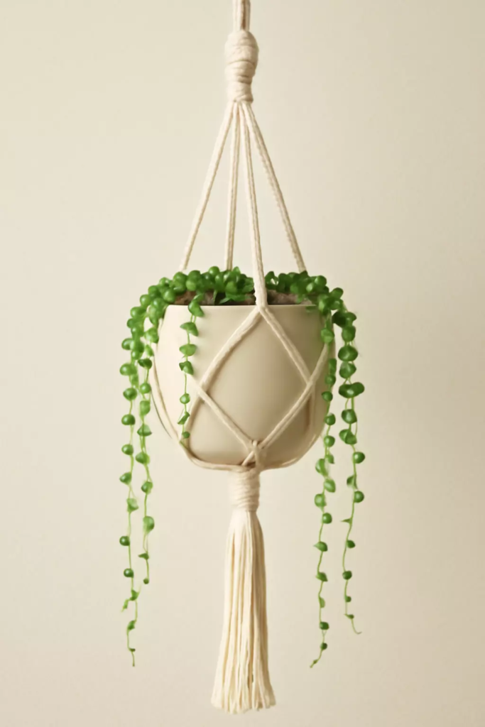 Top 10 Best Plants for Macrame Hangers to Beautify Your Home 5 string of pearls senecio rowleyanus