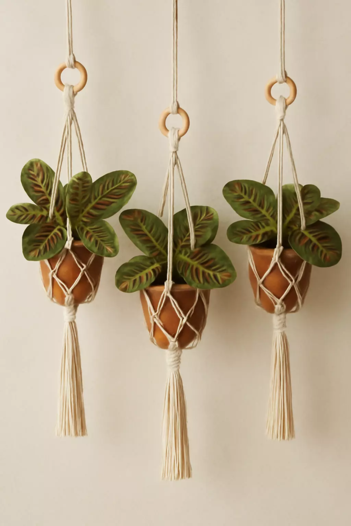 Top 10 Best Plants for Macrame Hangers to Beautify Your Home 11 prayer plant maranta leuconeura