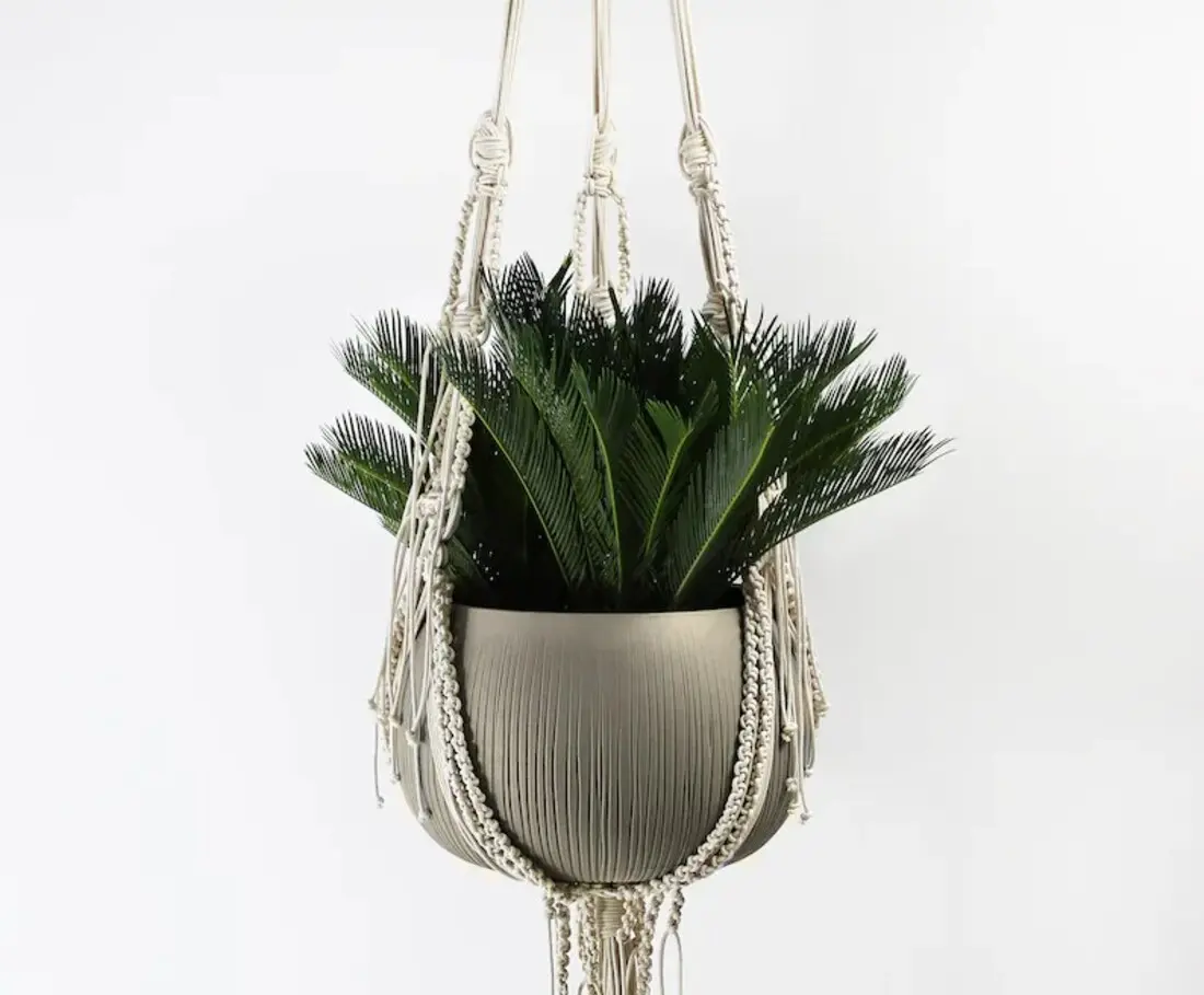 best cord for macrame plant holders heavy