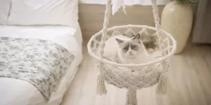 macrame wall decorations pet safe cleaning products