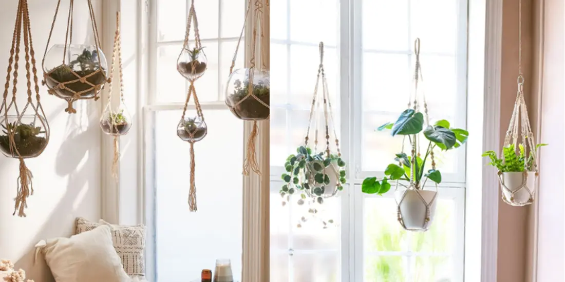 best 5mm macrame cord plant hangers