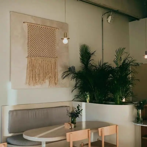 WhatsApp Image 2025-11-12 at 1.42.31 PM