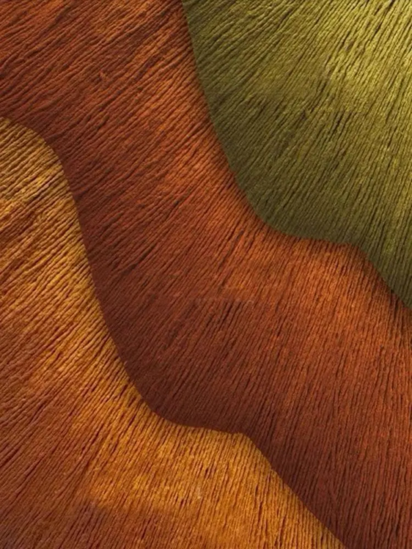 WhatsApp Image 2025-11-12 at 1.51.18 PM