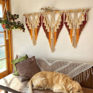 WhatsApp Image 2025-11-12 at 10.43.34 AM