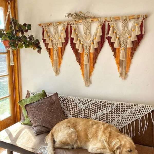 WhatsApp Image 2025-11-12 at 10.43.34 AM