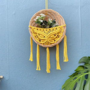 WhatsApp Image 2025-11-12 at 10.53.13 AM (1)