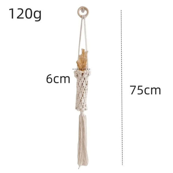 WhatsApp Image 2025-11-12 at 10.55.25 AM