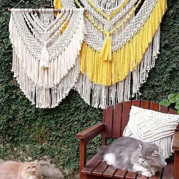 WhatsApp Image 2025-11-12 at 11.04.11 AM