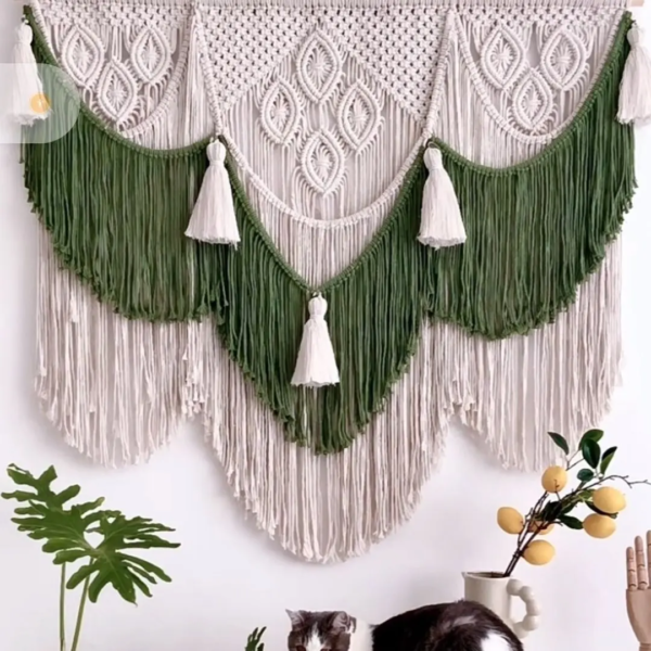 WhatsApp Image 2025-11-12 at 11.24.04 AM