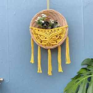 WhatsApp Image 2025-11-12 at 10.53.13 AM (1)