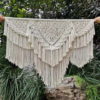 WhatsApp Image 2025-11-12 at 11.49.07 AM (2)