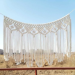 WhatsApp Image 2025-11-12 at 9.57.14 AM